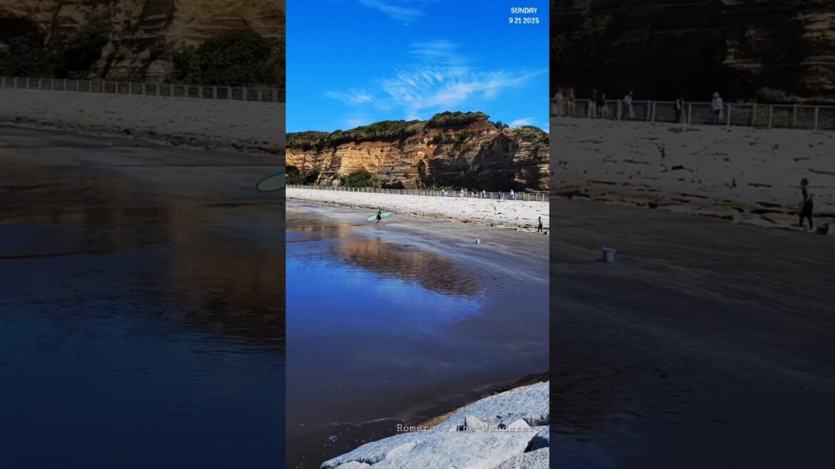 Hidden Paradise in Japan | #shorts #fyp #chibajapan #japanbeach #japantravel #RomerosTheWanderer Hidden Paradise in Japan | #shorts #fyp #chibajapan #japanbeach #japantravel #RomerosTheWanderer