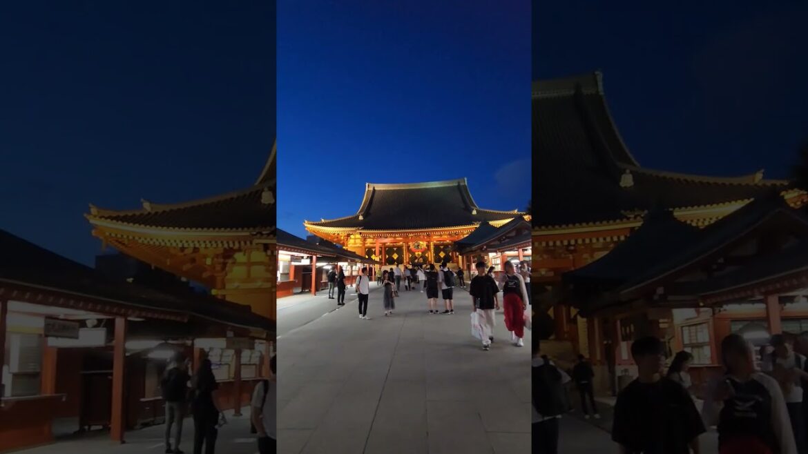 Asakusa | Tokyo #shortsfeed #travel #japantravel Asakusa | Tokyo #shortsfeed #travel #japantravel