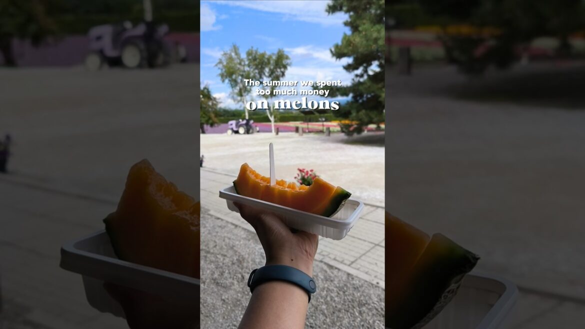 The sweetest melon we've ever tasted! 🍈 #japanfinds #furanomelon #hokkaido #furano #japantravel