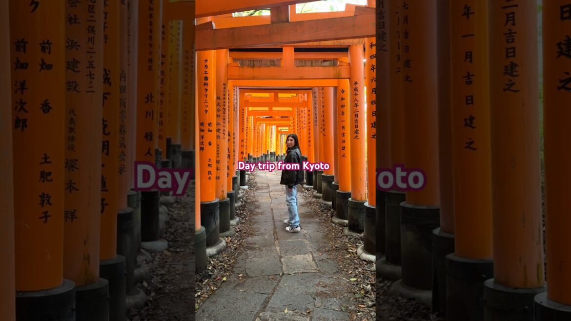 Day trip from Kyoto, Japan #kyoto #kyototrip #fushimiinaritaisha #fushimiinarishrine #japan