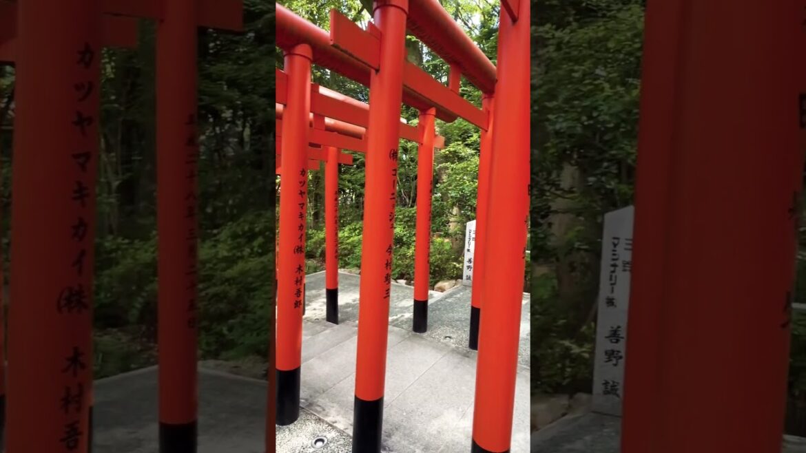 【Kobe】Must-See Tourist Attraction- Ikuta Shrine