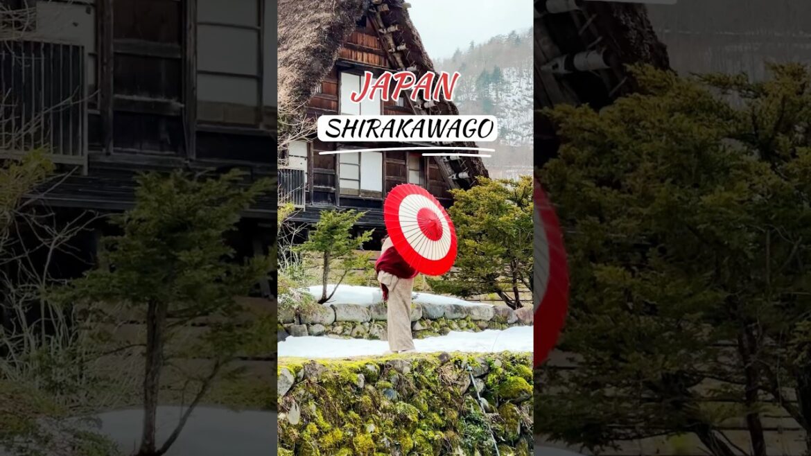 Shirakawago in Winters ❤️❤️ #shirakawago #gifu #japan #japantravel #japanvlog #japanese #travel