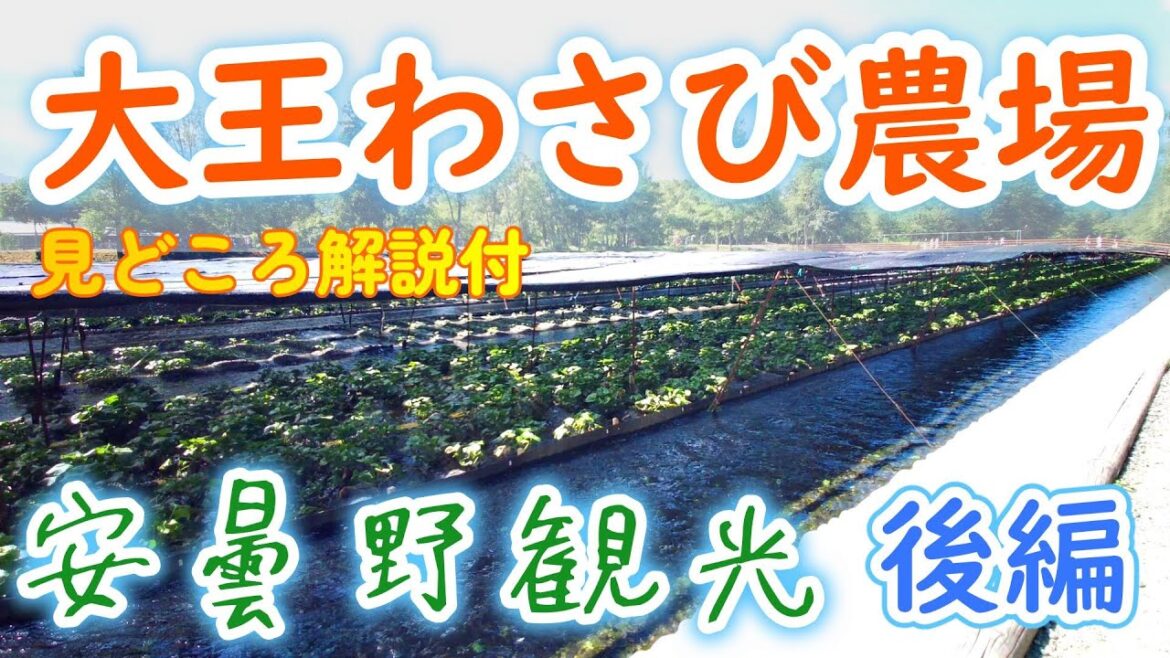 大王わさび農場を散策してみた【安雲野市 観光】後編 大王わさび農場を散策してみた【安雲野市 観光】後編