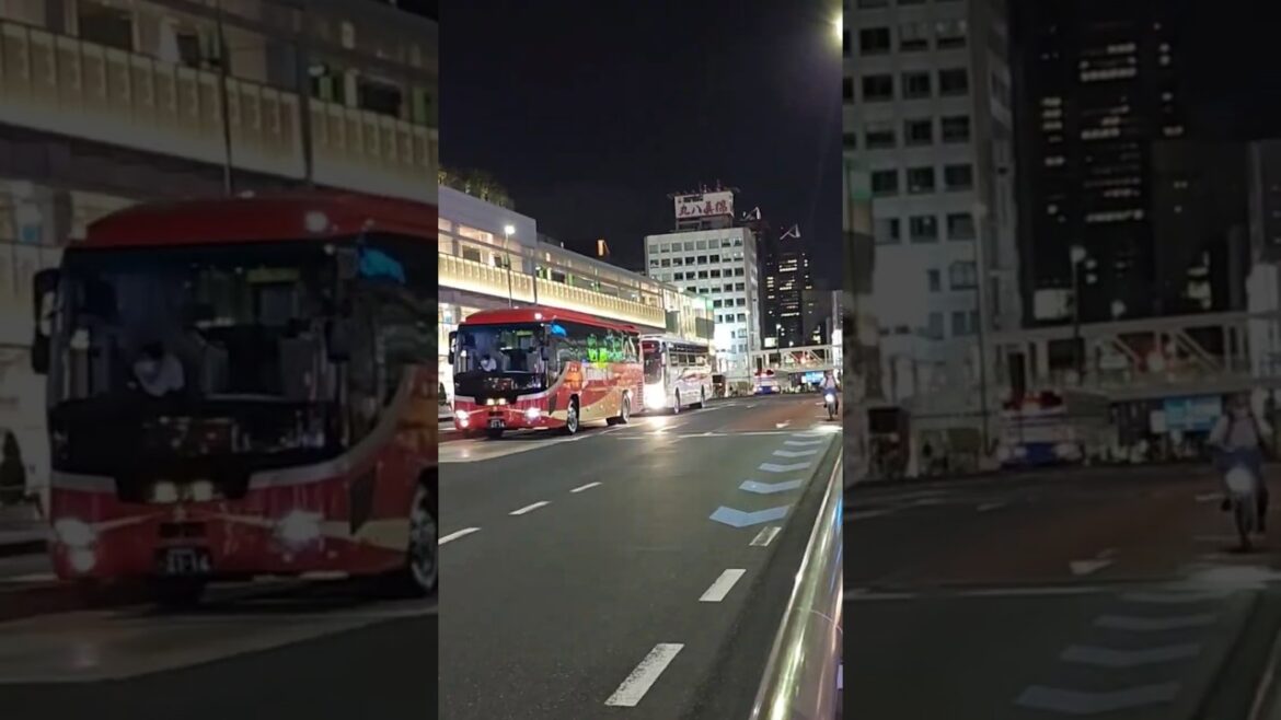 Tokyo #shortsfeed #travel.#japantravel Tokyo #shortsfeed #travel.#japantravel