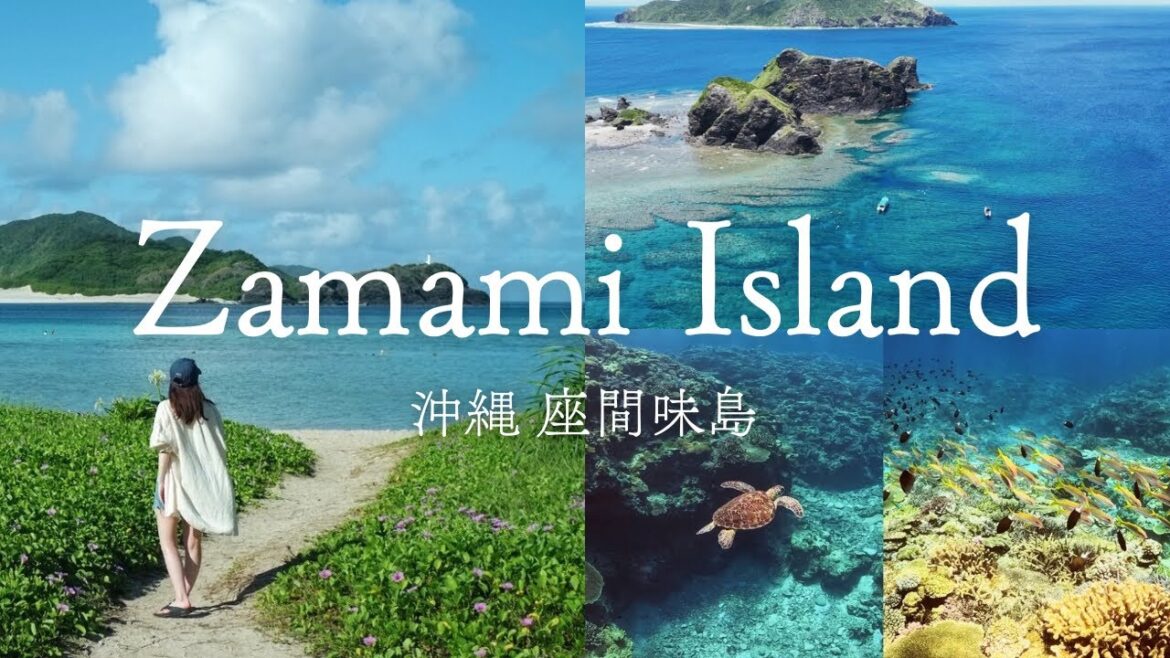 【沖縄・座間味島旅行】世界が恋する慶良間ブルー|ウミガメと泳ぐスキンダイビング&ビーチ巡り|阿嘉島散策 【沖縄・座間味島旅行】世界が恋する慶良間ブルー|ウミガメと泳ぐスキンダイビング&ビーチ巡り|阿嘉島散策