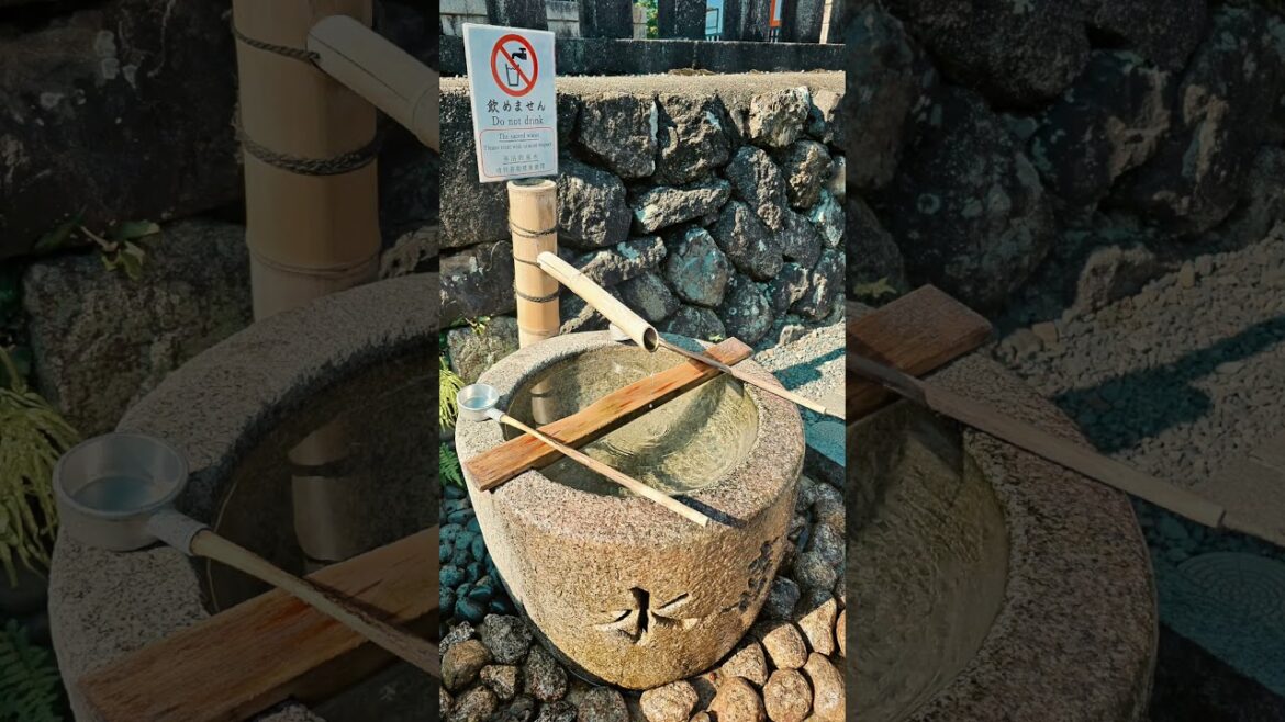 Kyoto's Secret Spots You Need to See! 🌸🏯"