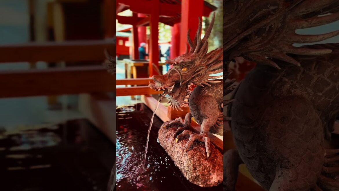 #mcCodyLim : HAKONE • 箱 根