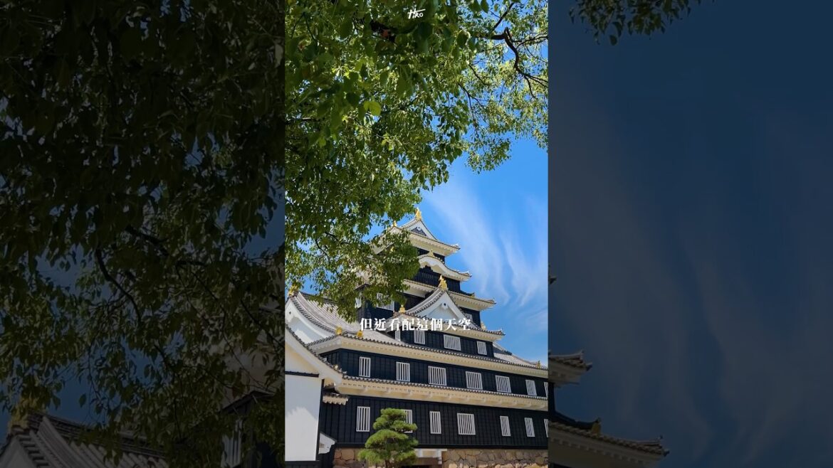 什麼桃子怎麼這麼好吃== #日本 #岡山 #散步  #japan #okayama