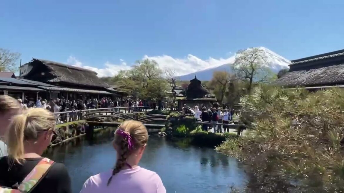 Oshino Hakkai Fujikawaguchiko | Stunning Mount Fuji Views | Japan Day Tour #japantravel  #mountfuji