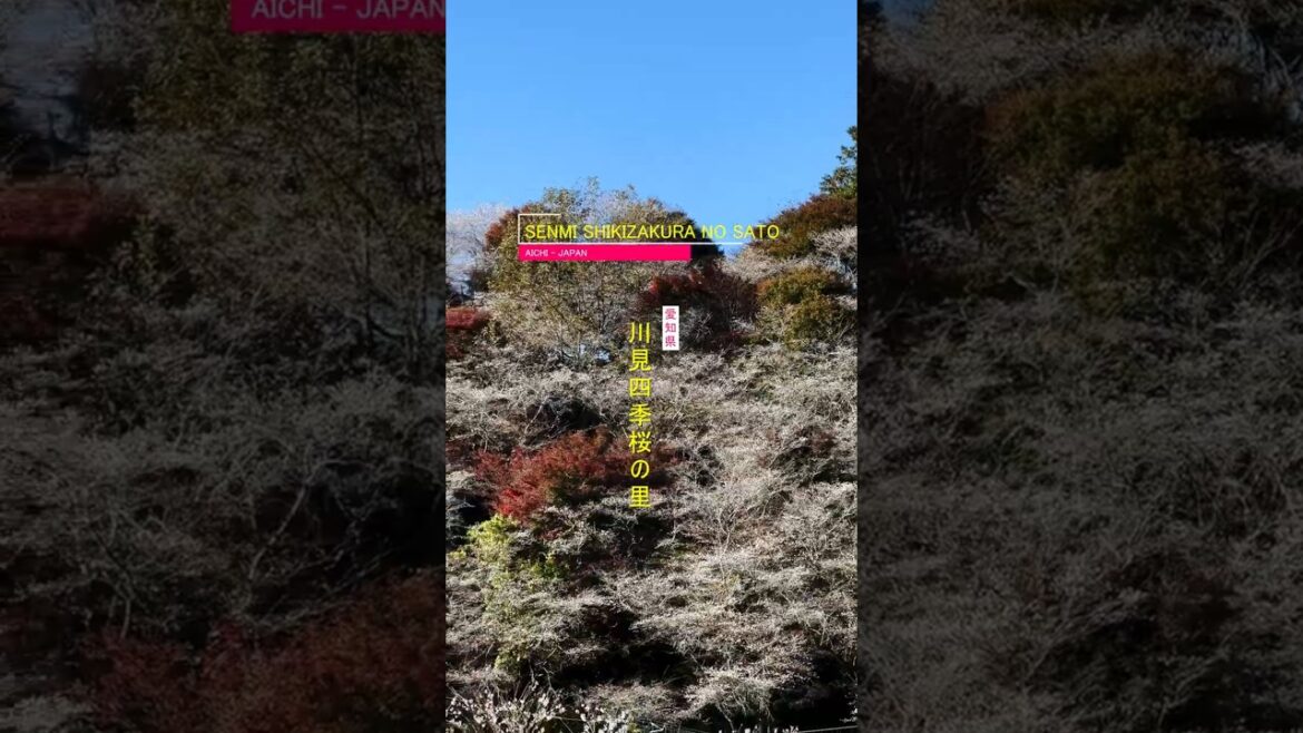 ๐ธ๐ Where Seasons Meet: Senmi Shikizakura no Sato ๐ธ๐ Where Seasons Meet: Senmi Shikizakura no Sato