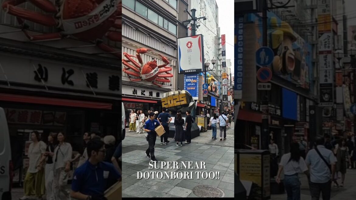 Hidden Osaka Hotel Gem Revealed! #travel #osaka #japan #hotel