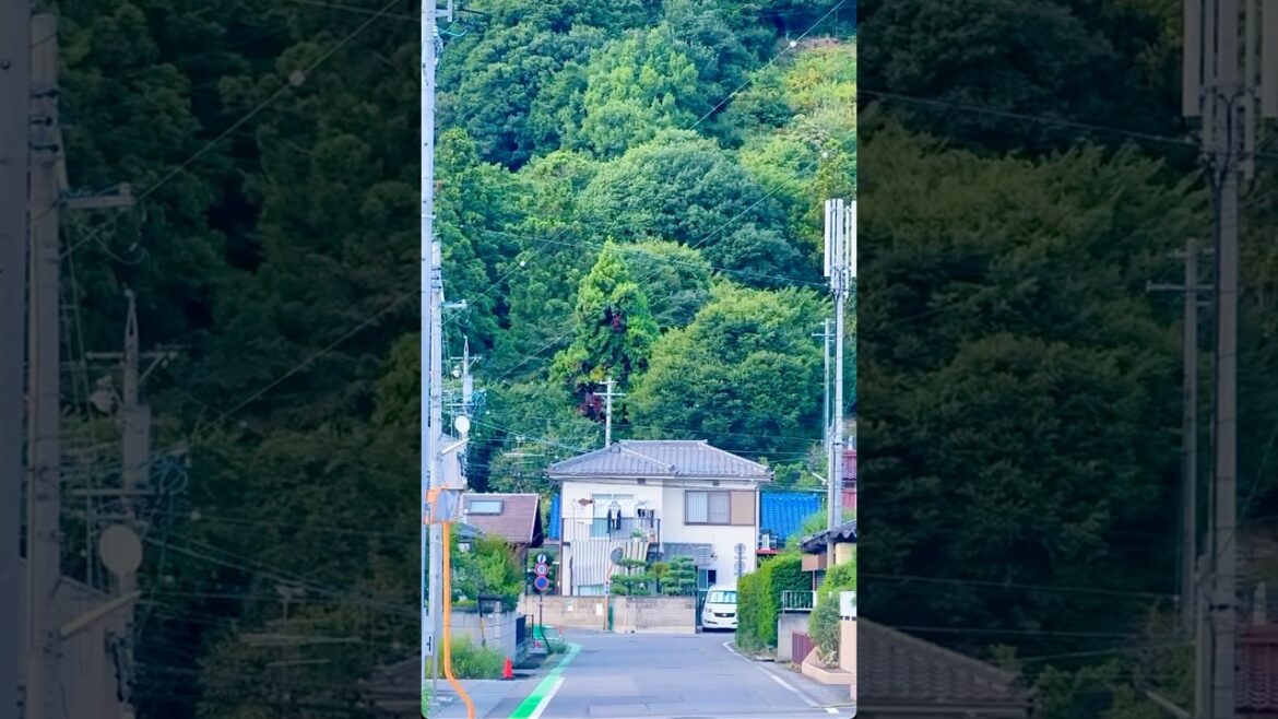 Japan’s Silent Streets🇯🇵 #japantravel #japan #nagano #tokyo #kyoto #youtubeshorts #shorts #youtube