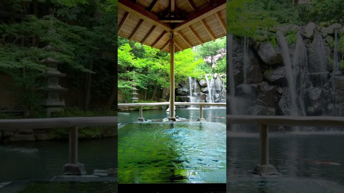 Club Wyndham Chikumakan Nagano #ClubWyndham #ToguraKamiyamada #NaganoOnsen #JapanHotSprings Club Wyndham Chikumakan Nagano #ClubWyndham #ToguraKamiyamada #NaganoOnsen #JapanHotSprings