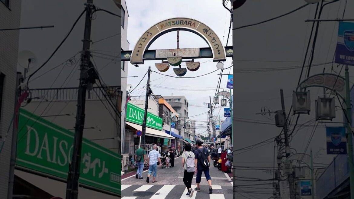 A Walk Through Yokohama’s Kofukuji Matsubara Shopping Street,Japan! #japan #4k #walkingtour