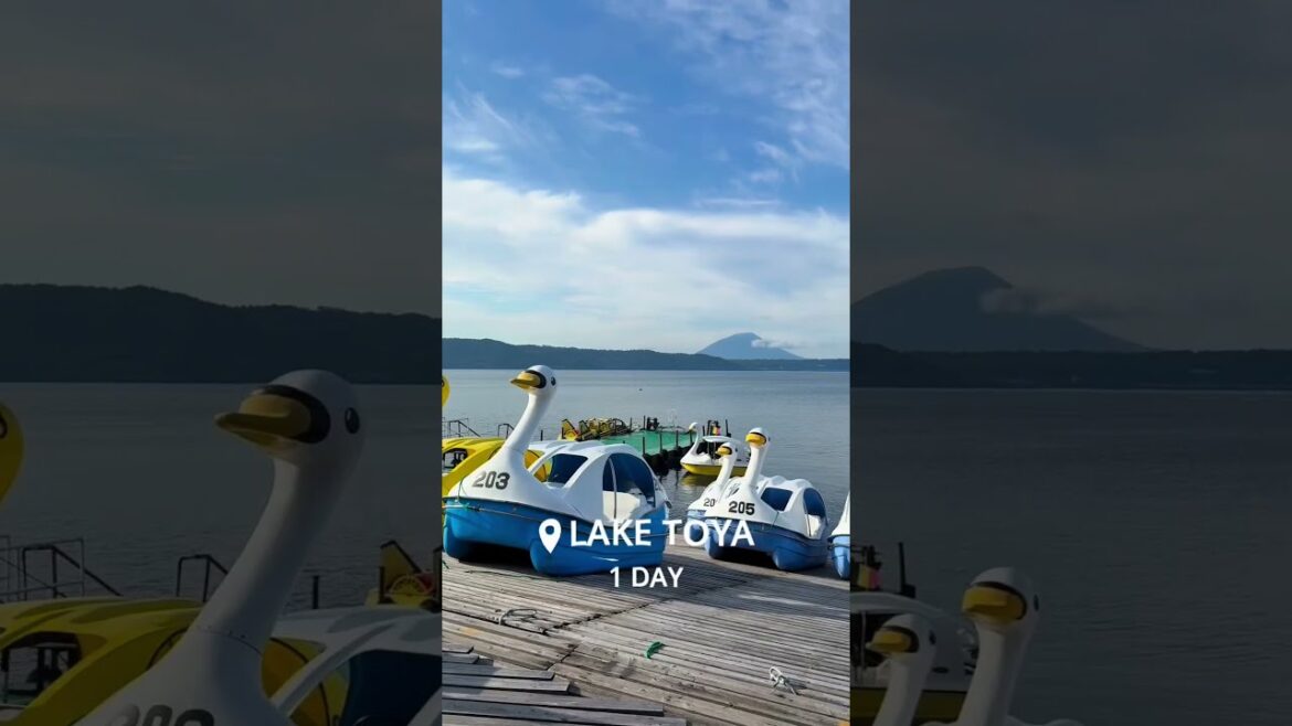 With the JR Hokkaido Pass, explore the island of Hokkaido with complete freedom! #travel#japan