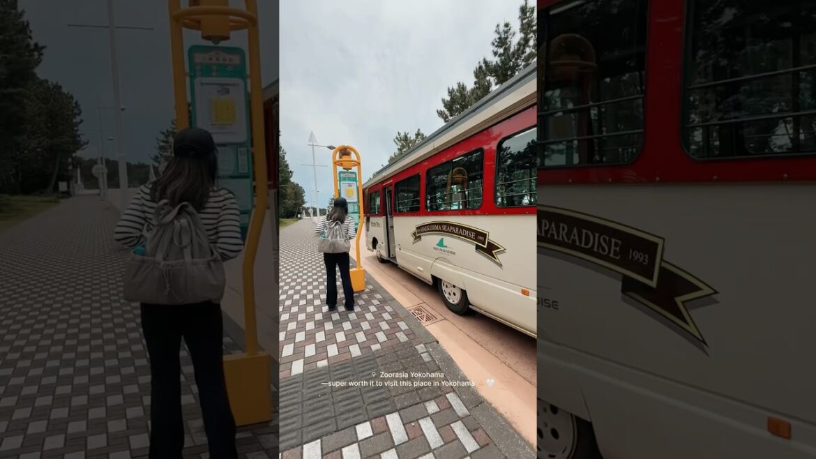 Found this Seaparadise in Yokohama Japan 🧡