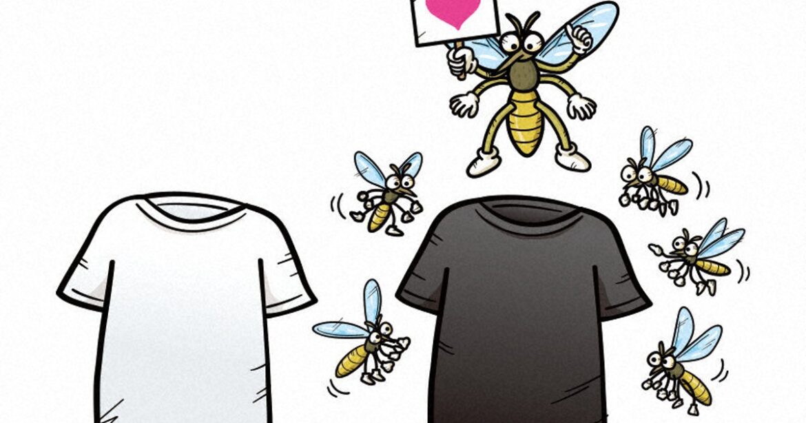 Japan expert warns of mosquitoes ‘desperate’ to breed in fall Japan expert warns of mosquitoes 'desperate' to breed in fall