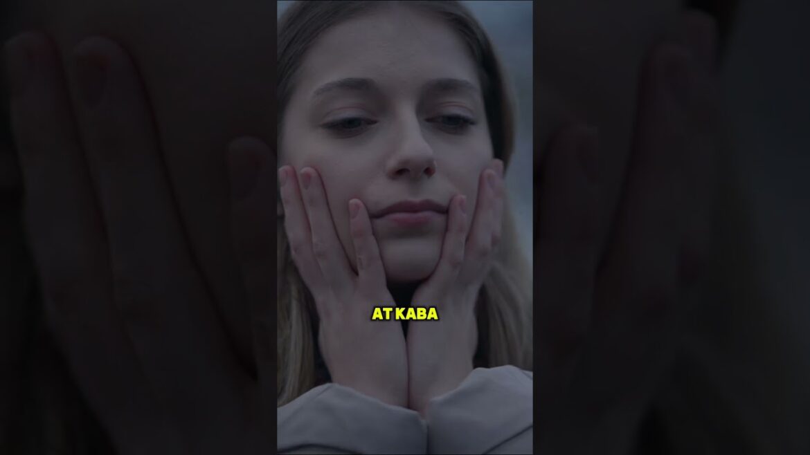 The most comfortable way to experience the Sapporo Snow Festival