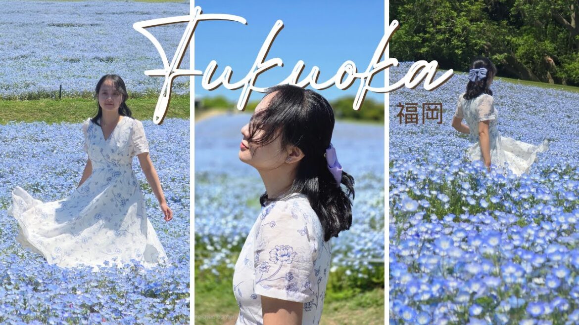 3 Days in Fukuoka + 1 Day in Nagoya | Japan Aesthetic Travel Vlog (Ghibli Park, Wisteria, Nemophila) 3 Days in Fukuoka + 1 Day in Nagoya | Japan Aesthetic Travel Vlog (Ghibli Park, Wisteria, Nemophila)