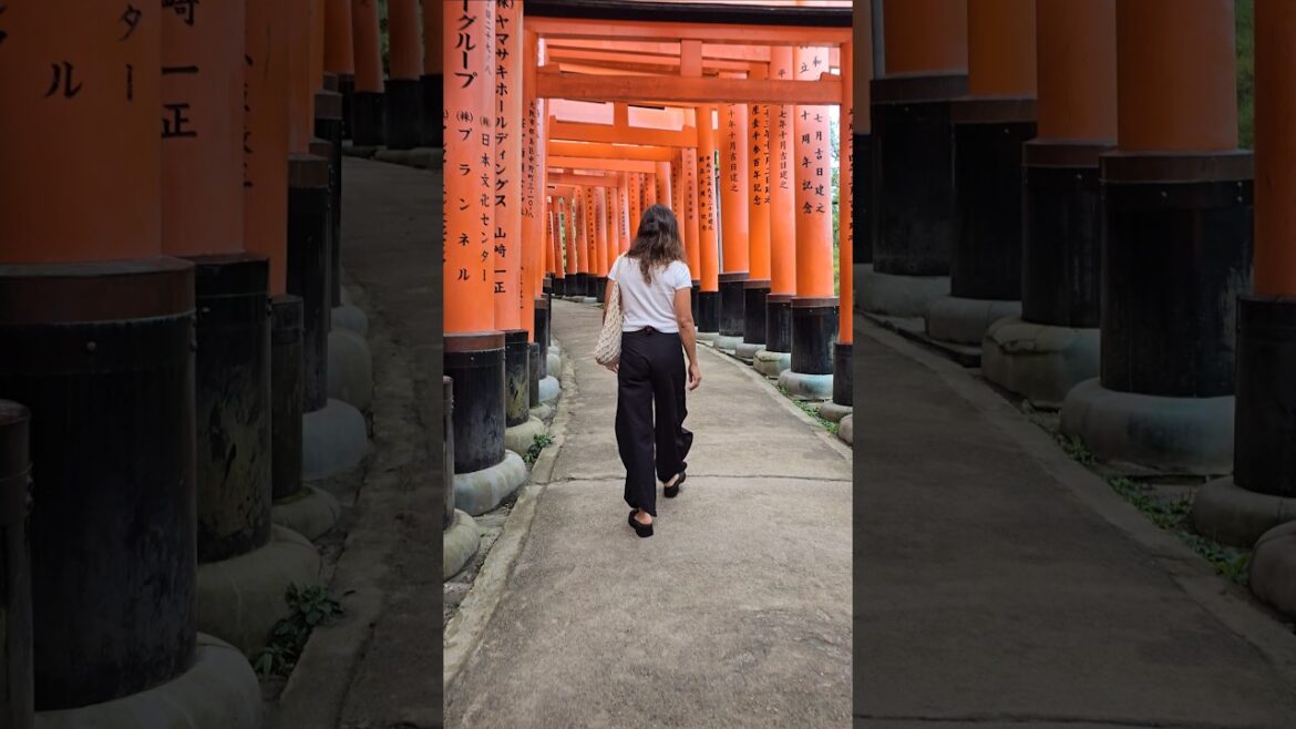 Fushimi Thousand Gates #kyoto #japan @BCL.COSMIN #travel