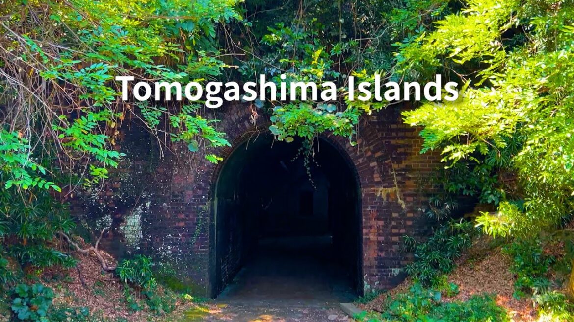[Uninhabited Island Tour] Exploring Tomogashima – Stunning Ruins Like Ghibli’s Laputa