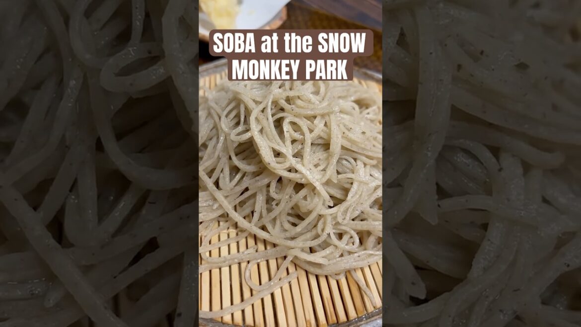 SOBA at the SNOW MONKEY PARK in NAGANO #soba #snowmonkey #nagano