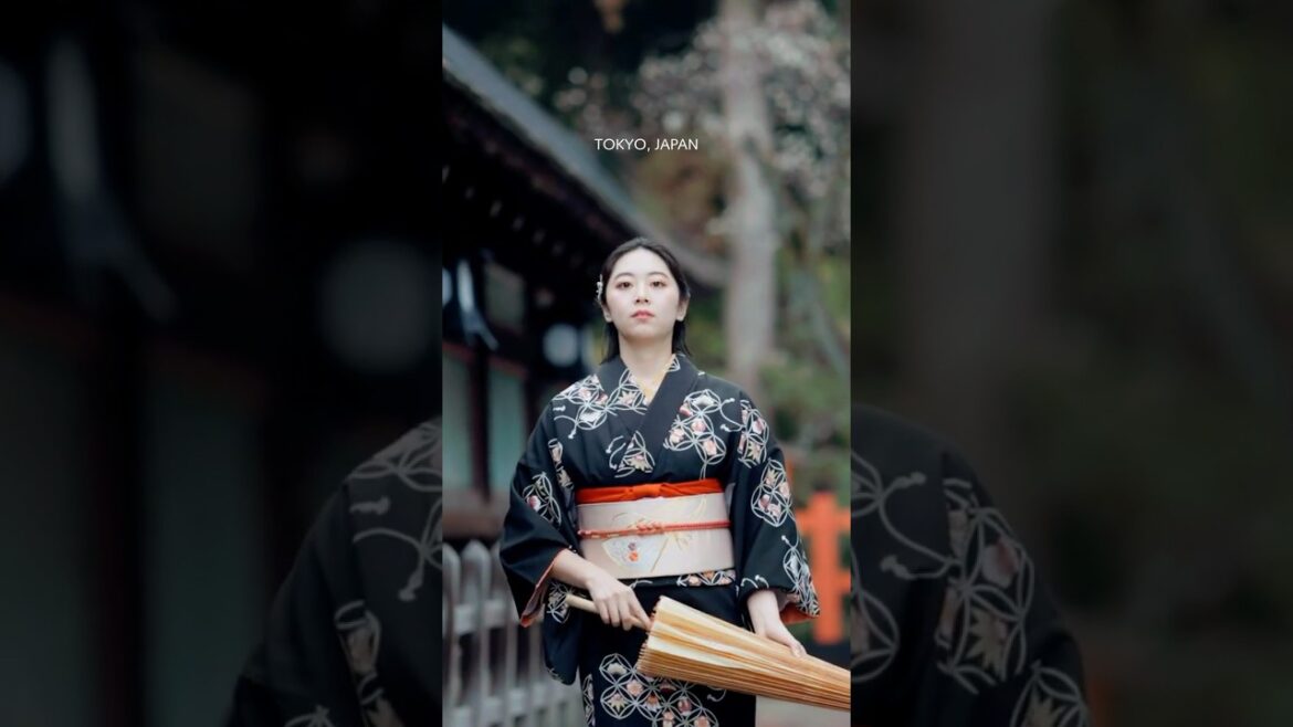 Travel Japan #travel #travelphotography