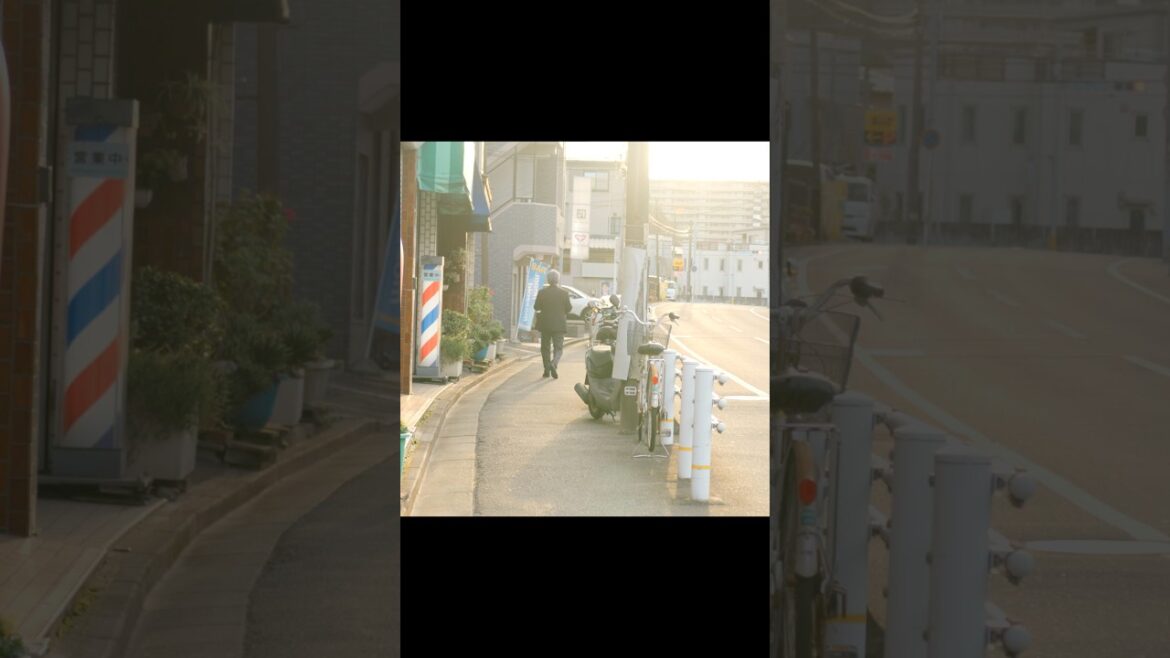 일본여행 치바 소도시 구경 japan trip chiba