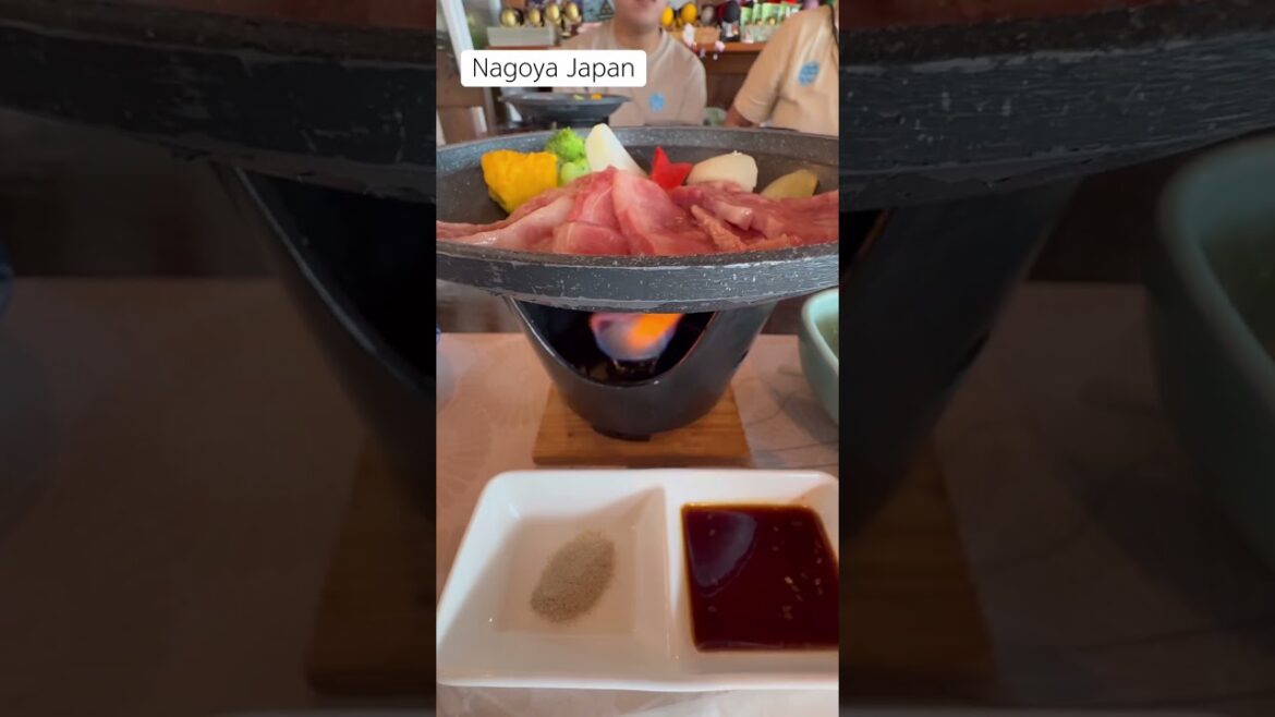 Final Short for Nagoya Japan 🇯🇵| sometravelbuddie