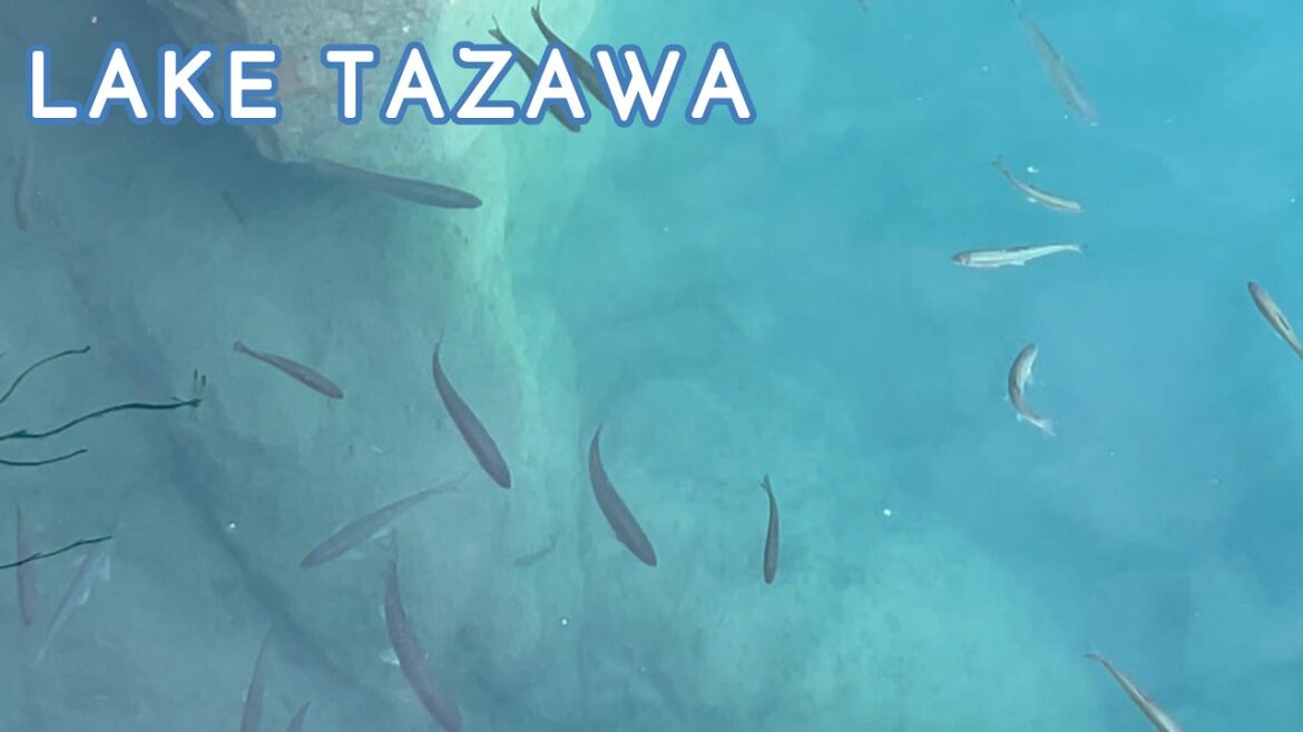 Asian Dub foundation Black White/Lake Tazawa