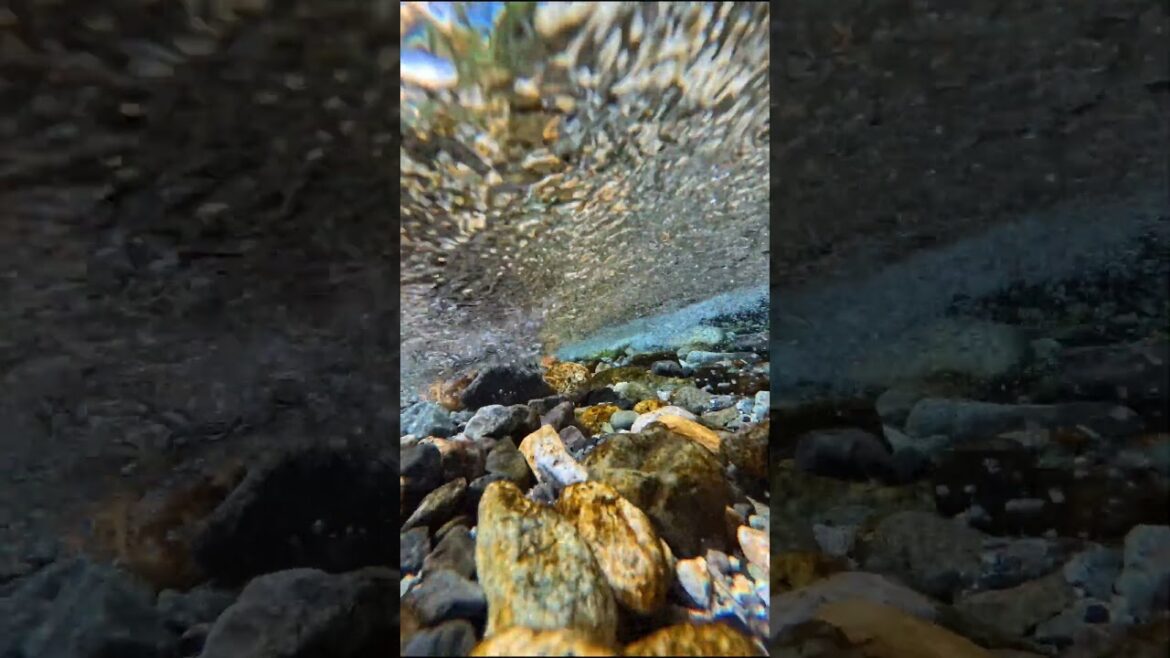 Kamikochi in Japan#japan #nihon  #nature #river #tokyo #food   #travel #beautifulplace