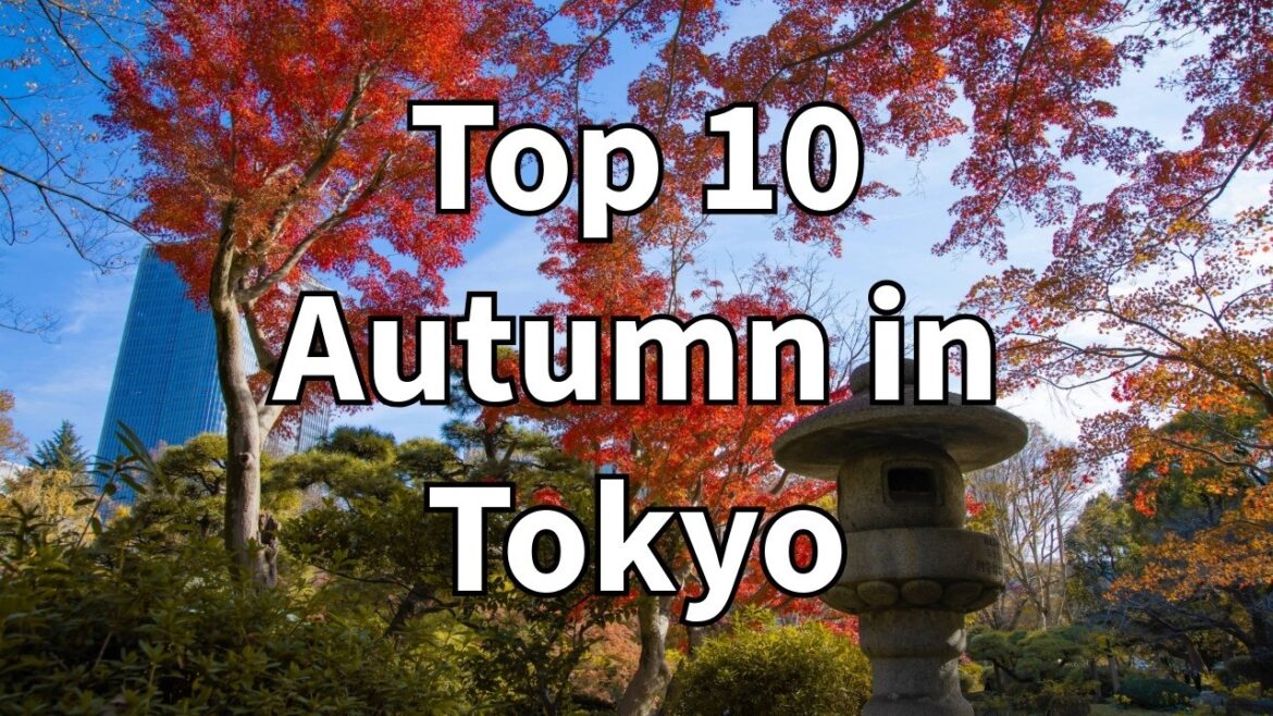 Discover Tokyo’s Top 10 Autumn Destinations Now! Discover Tokyo's Top 10 Autumn Destinations Now!