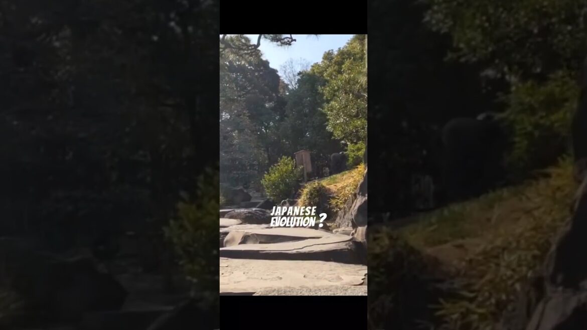 Top 5 visiting places in Fukuoka. #shorts #ytshorts #shortvideo #japan #travel #explore #viral