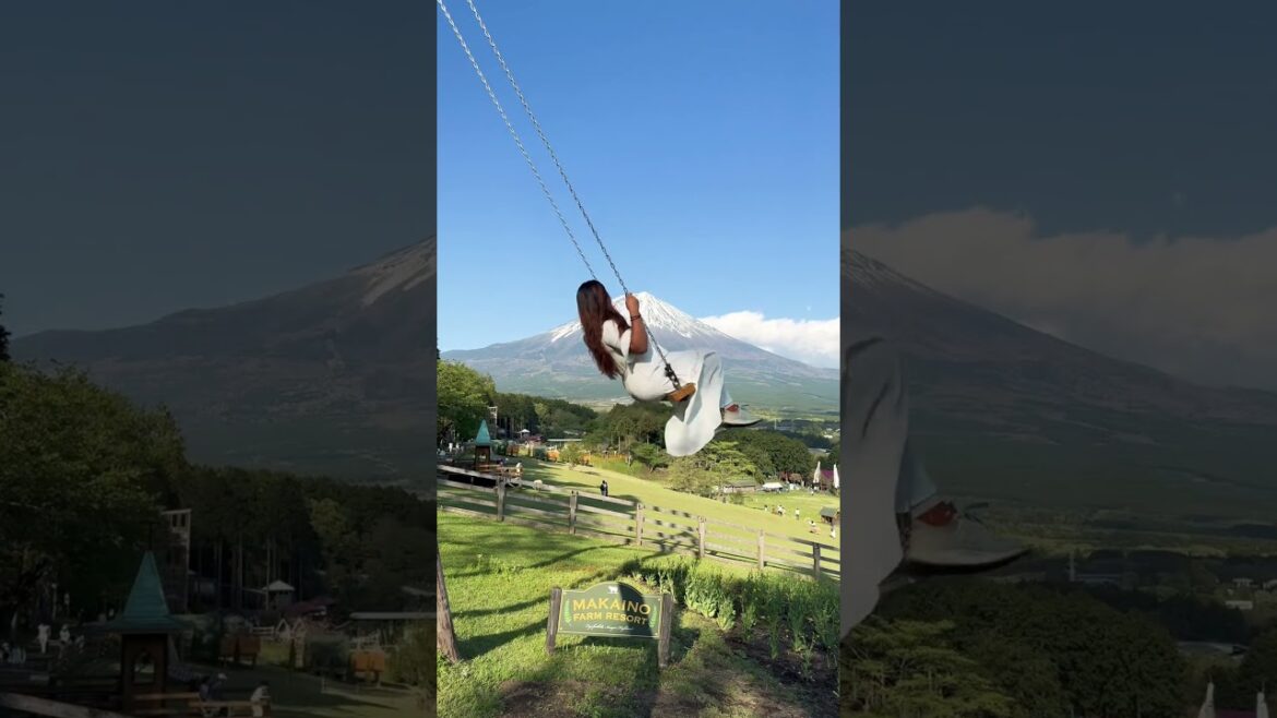 The best view of Mt.Fuji 🗻 #japan #travel #mtfuji #富士山 #絶景 #farm #nature #mountfuji #travelgram