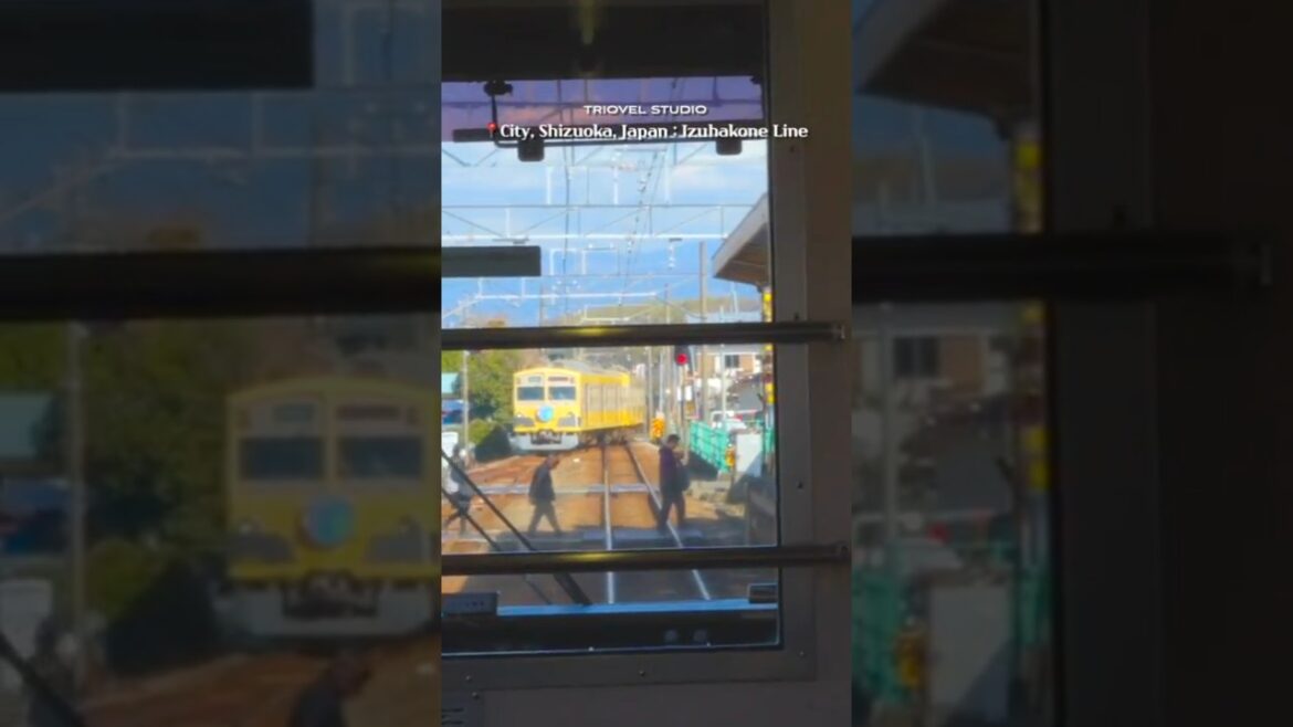 일본 감성을 느끼고 싶다면 꼭 타야할 이즈하코네선 기차 일본 감성을 느끼고 싶다면 꼭 타야할 이즈하코네선 기차