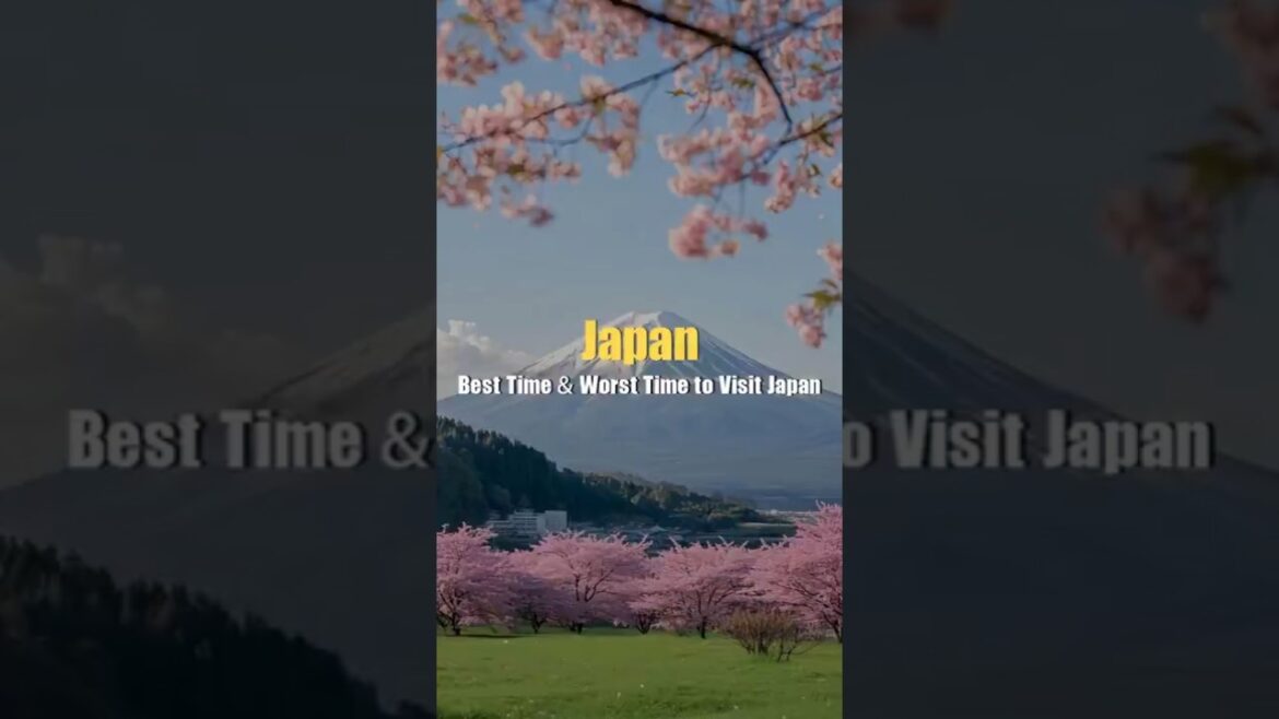 Best Time to Visit Japan 2025/2026: Seasons, Cherry Blossoms, and Travel Tips Best Time to Visit Japan 2025/2026: Seasons, Cherry Blossoms, and Travel Tips