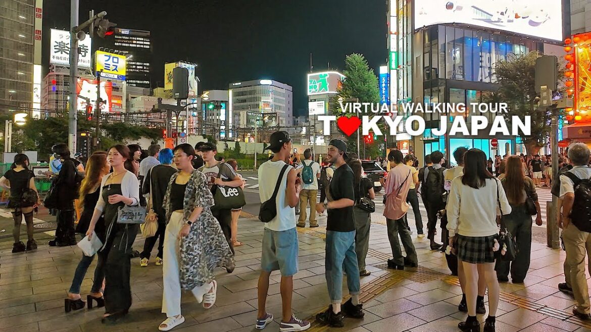 Tokyo Summer Evening Walk, Shinjuku, Kabukicho, Japan, Travel, 4K Tokyo Summer Evening Walk, Shinjuku, Kabukicho, Japan, Travel, 4K