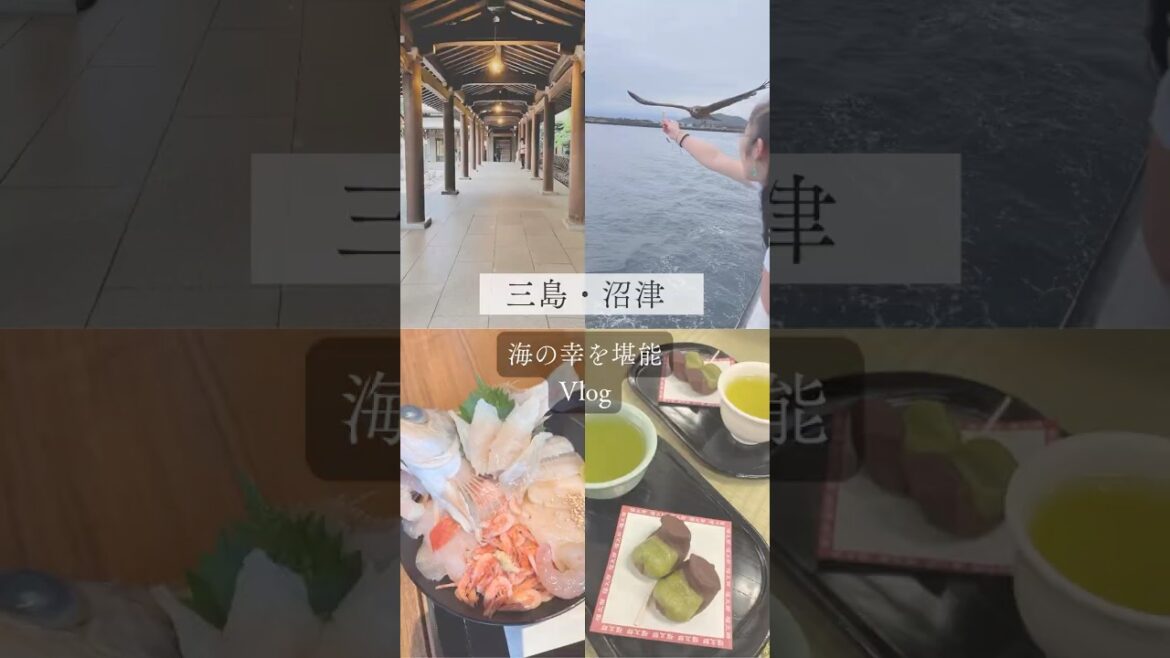 【Numazu & Mishima Vlog Day Trip】沼津港の絶品グルメ＆三島大社参拝｜1日で楽しむ静岡旅