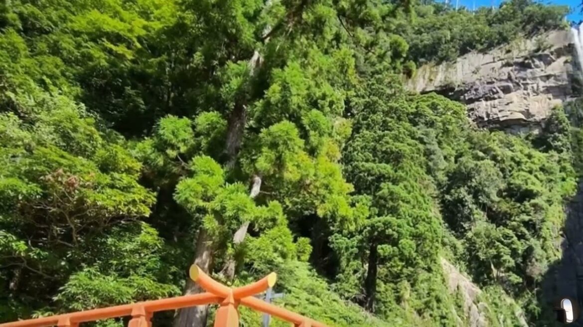 Seigantoji Buddhist Temple Wakayama Japan Tour