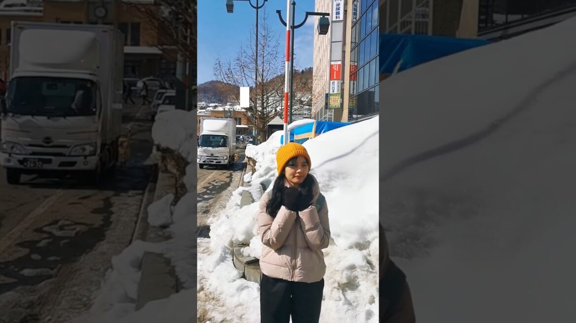 That train ride to Otaru might've been the best one I've ever had. #otaruvlog #minivlogshorts