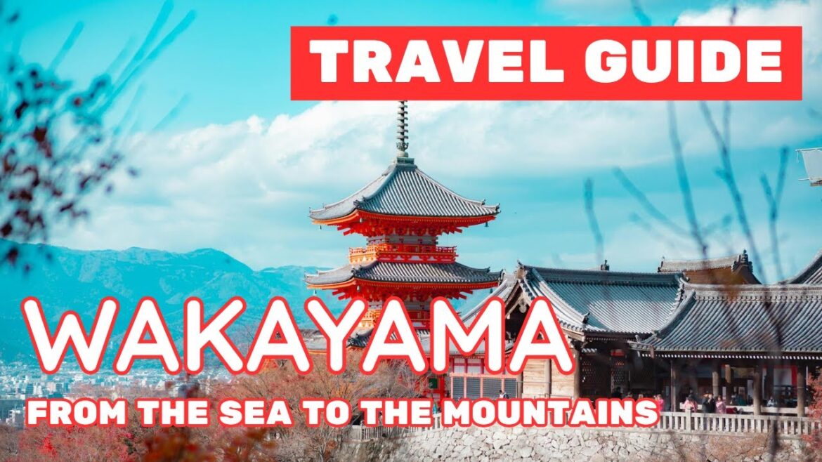 Hidden Japan | Wakayama Travel Guide 2025 | Scenic Spots, Onsen Towns & Local Food