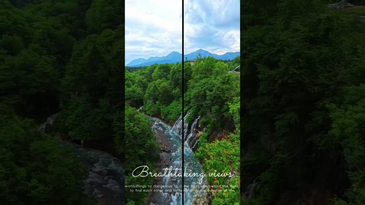 Summer in Hokkaido #japan #insta360x5 #insta360 #hokkaido #biei #furano #travel