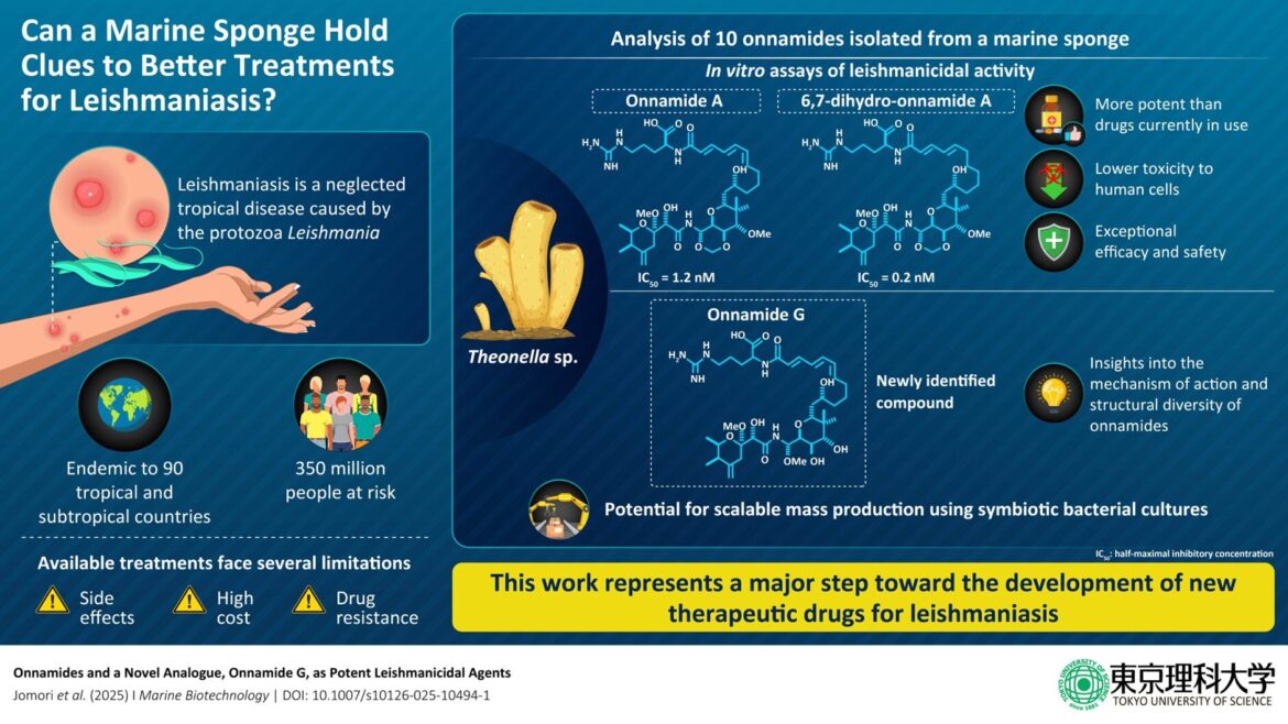 Promising treatment for leishmaniasis disease found in Okinawan marine sponges Promising treatment for leishmaniasis disease found in Okinawan marine sponges