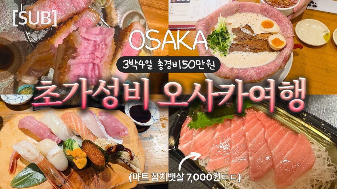 오사카 여행 브이로그 커플 vlog | 뉴베이브,겐로쿠스시,쿠라스시 초가성비 여행 오사카 여행 브이로그 커플 vlog | 뉴베이브,겐로쿠스시,쿠라스시 초가성비 여행