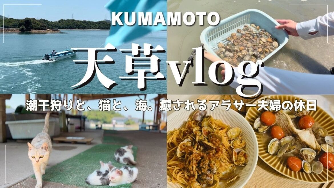 【熊本・天草】潮干狩り|海の見えるカフェ|ドーナツ屋さん【休日vlog】 【熊本・天草】潮干狩り|海の見えるカフェ|ドーナツ屋さん【休日vlog】