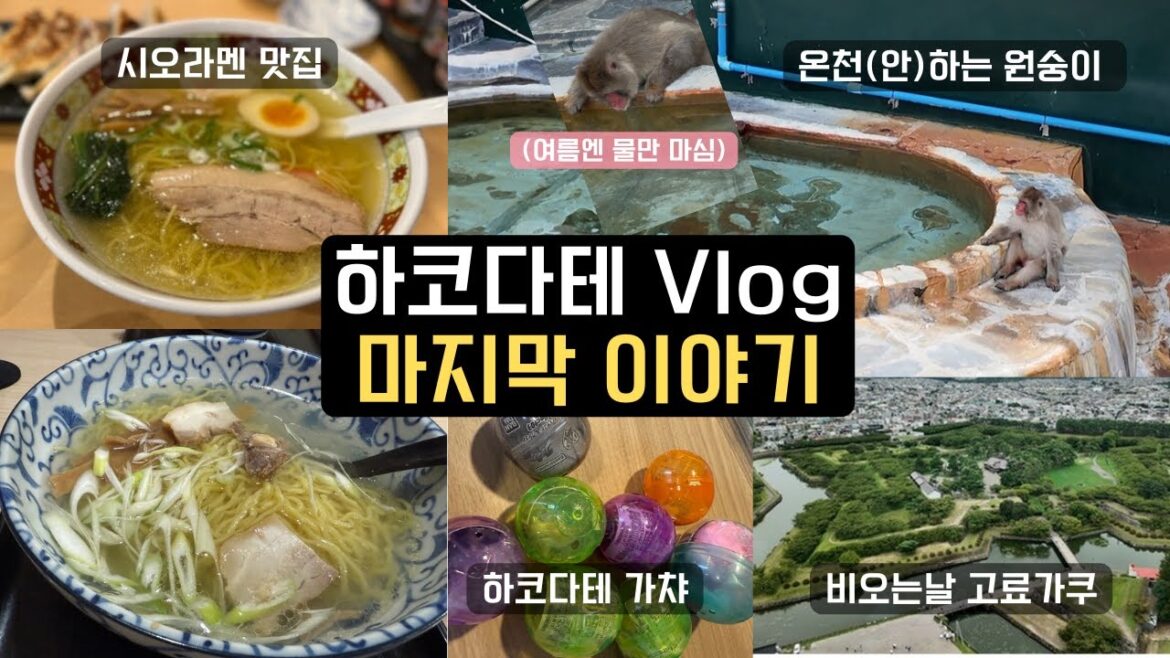 π―π΅ μΌλ³Έ νμΉ΄μ΄λ μΏν¬λ‘λ³΄λ€ μ’μλ νμ½λ€ν
Vlog #3 | μ¨μ²(μ)νλ μμμ΄ π νμ½λ€ν
μ΄λμλ¬Όμ | μμ€λΌλ© λ§μ§ | κ°μ± μΈλ°μ± | κ³ λ£κ°μΏ 곡μ π―π΅ μΌλ³Έ νμΉ΄μ΄λ μΏν¬λ‘λ³΄λ€ μ’μλ νμ½λ€ν
Vlog #3 | μ¨μ²(μ)νλ μμμ΄ π νμ½λ€ν
μ΄λμλ¬Όμ | μμ€λΌλ© λ§μ§ | κ°μ± μΈλ°μ± | κ³ λ£κ°μΏ 곡μ