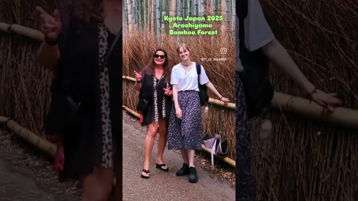 Kyoto Japan 2025 - Arashiyama Bamboo Forest.. @happylife50plus #arashiyama #bambooforest #travel