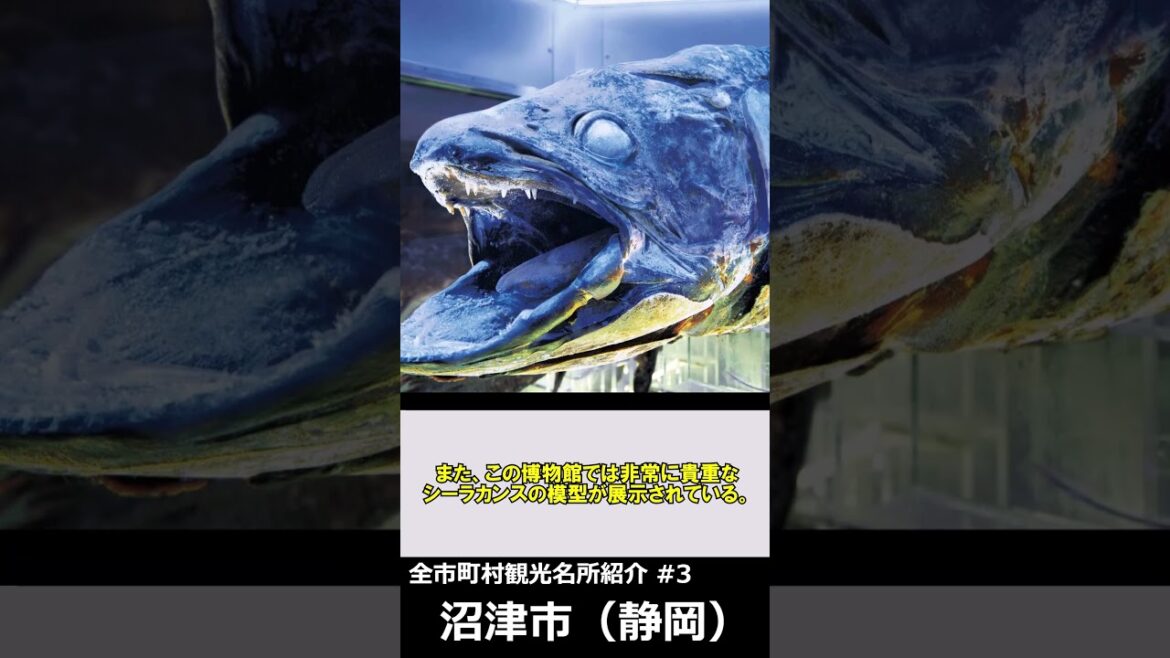 全市町村観光スポット紹介 #3 静岡県沼津市