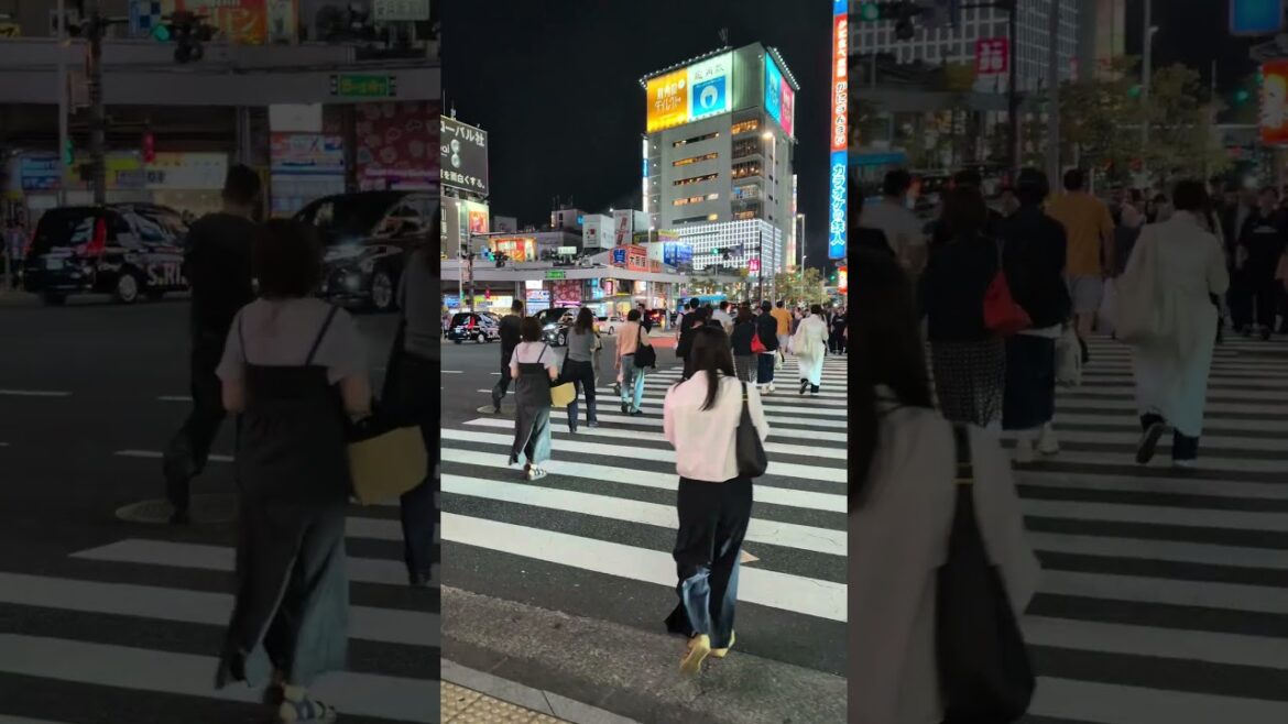 the night of SinJyuku  #travel #sinjyuku #nightveiw #tokyo