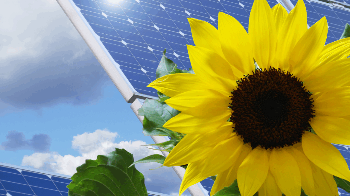 Tomakomai Solar Project in Japan Selects JA Solar’s DeepBlue 4.0 Pro for Harsh Climate Reliability